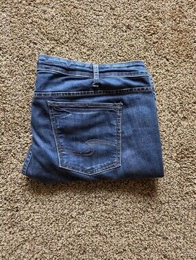Silver Plus Size 24 Suki Capri